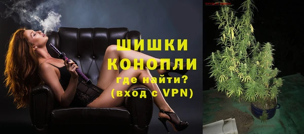 шишки Заволжье