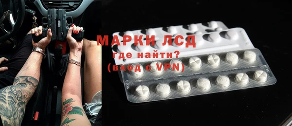 шишки Заволжье