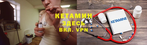 шишки Заволжье