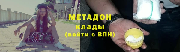шишки Заволжье