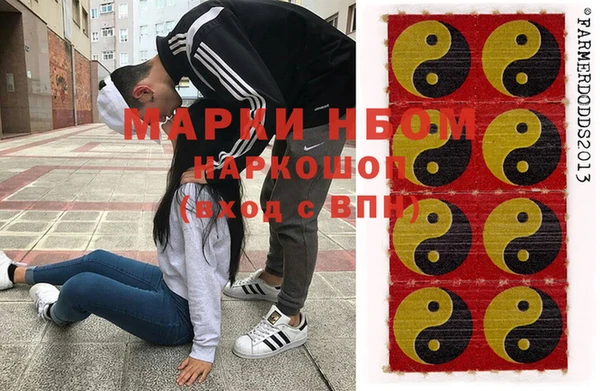 шишки Заволжье