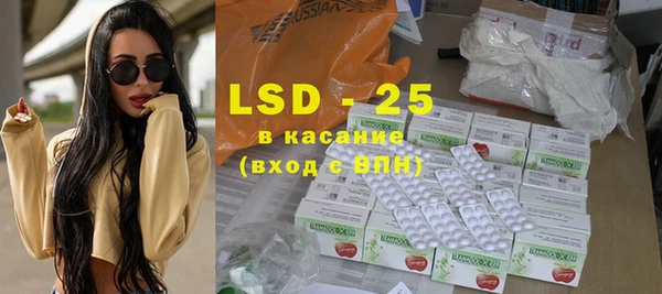 шишки Заволжье