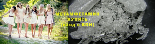 шишки Заволжье