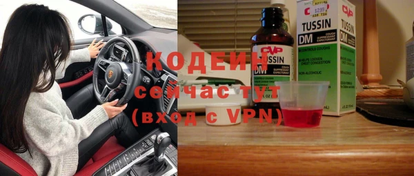 шишки Заволжье