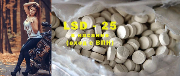 шишки Заволжье