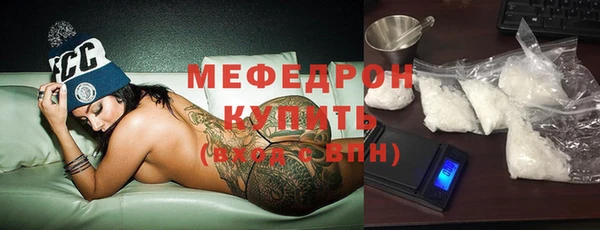 шишки Заволжье