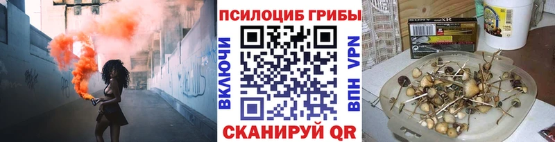 Галлюциногенные грибы MAGIC MUSHROOMS  Купить закладки  Ворсма 